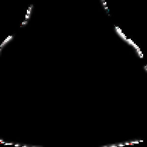 Meet your Posher, Devin